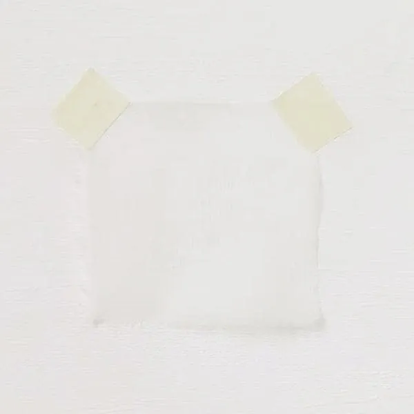 Crinkle Chiffon Ivory