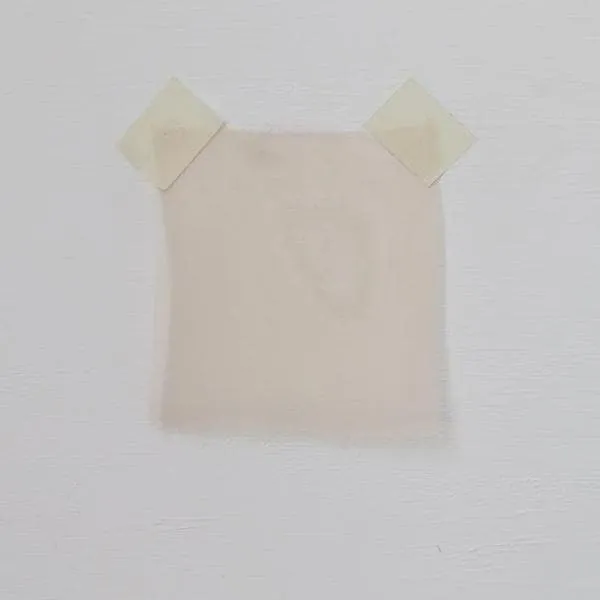 Organza Apricot