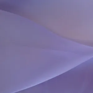 Organza Lavender