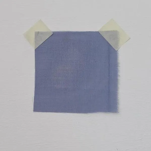 Organza Midnight
