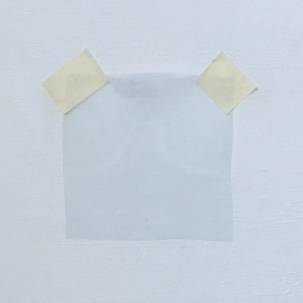 Organza Pale Blue