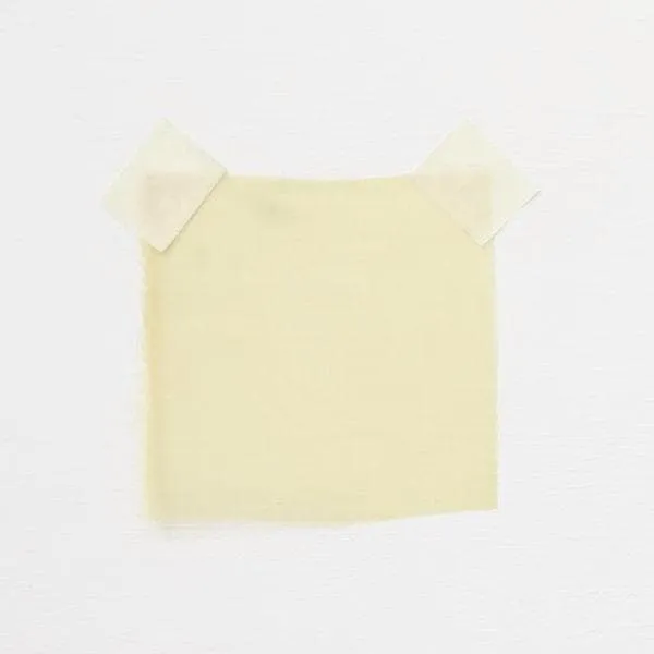 Organza Sunflower