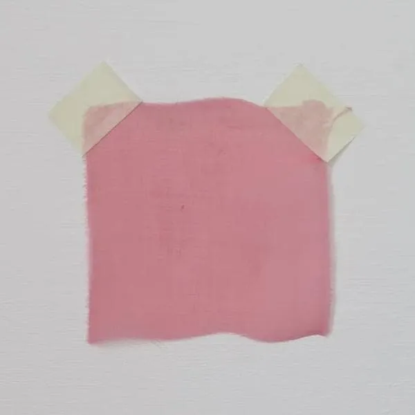 Satin Chiffon Melon