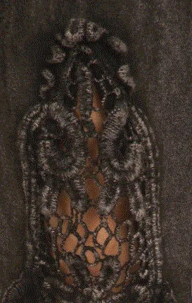 Yoga Pants with Lace Inserts